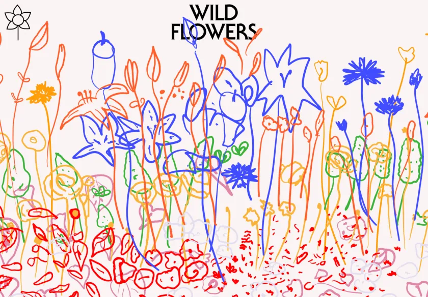 Cover image of "wildflowers.garden"